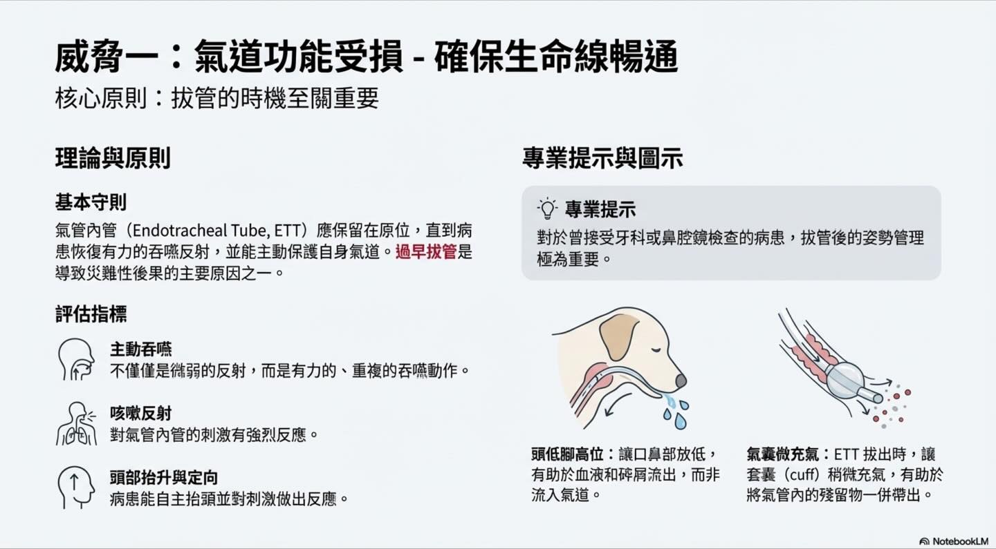 隱藏的危機：麻醉風險的真正所在圖卡 3