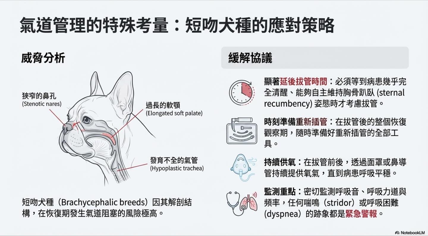 隱藏的危機：麻醉風險的真正所在圖卡 4