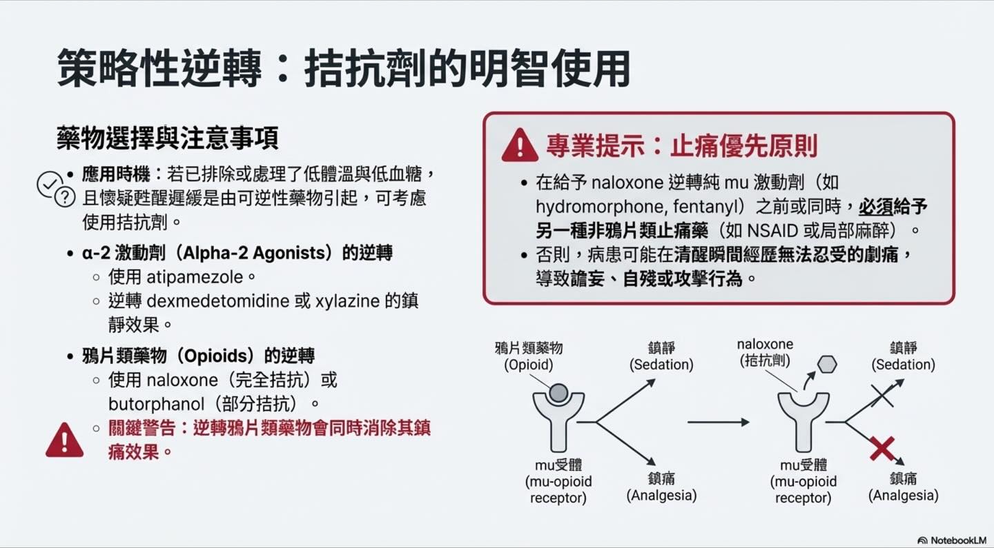 隱藏的危機：麻醉風險的真正所在圖卡 6