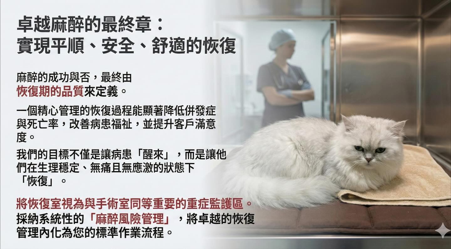 隱藏的危機：麻醉風險的真正所在圖卡 11