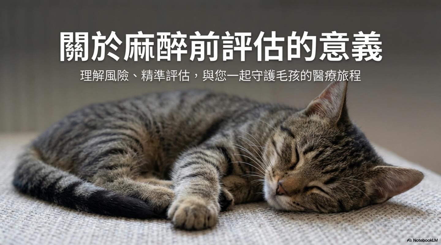 橫式圖卡集合封面：關於麻醉前評估的意義