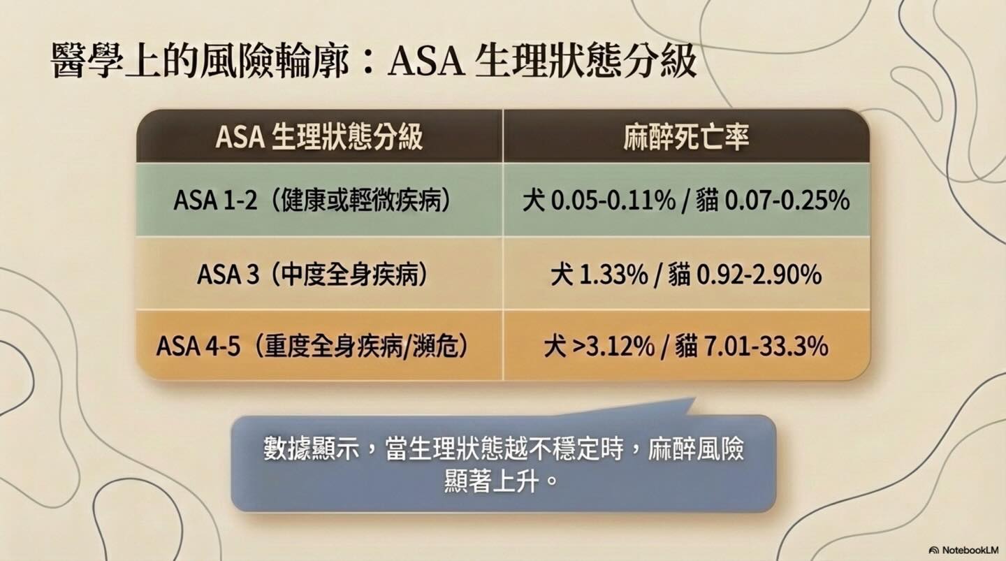 關於麻醉前評估的意義圖卡 4
