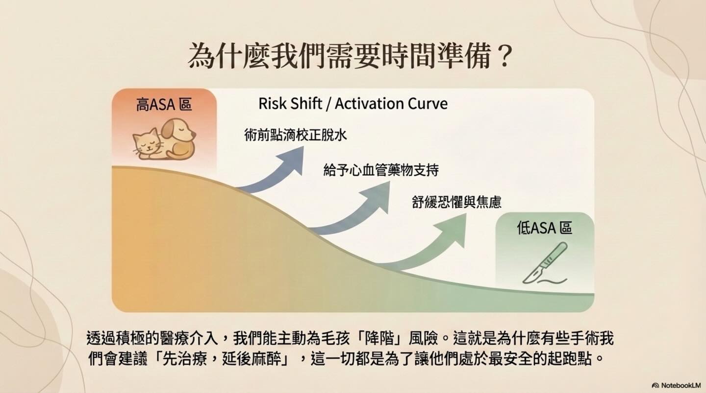 關於麻醉前評估的意義圖卡 5