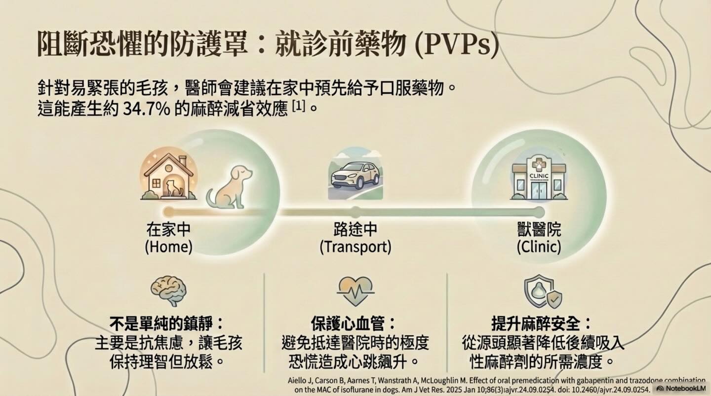 關於麻醉前評估的意義圖卡 8