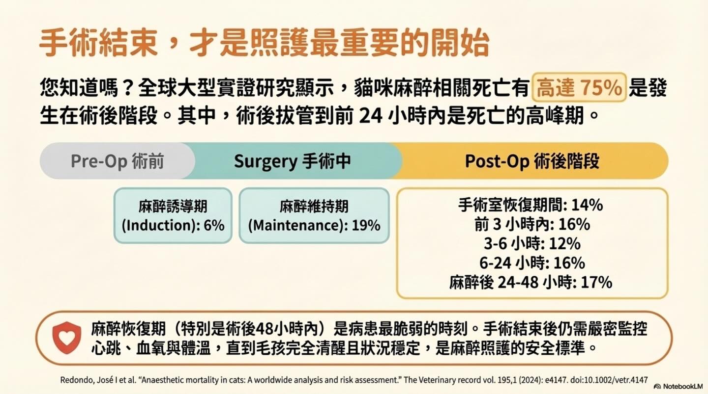 關於麻醉前評估的意義圖卡 11