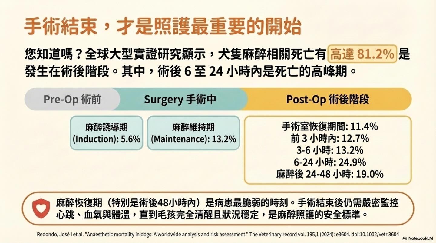 關於麻醉前評估的意義圖卡 12