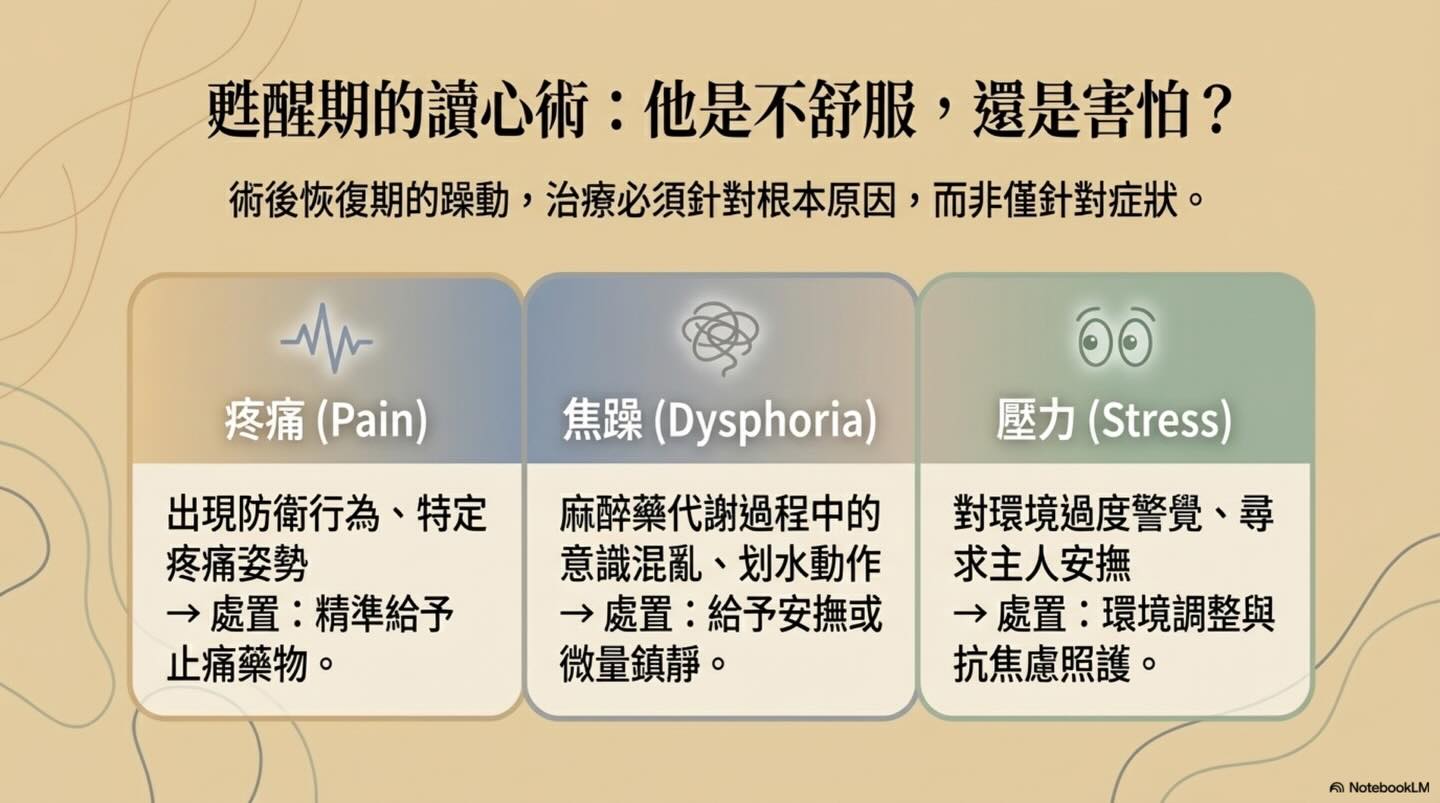關於麻醉前評估的意義圖卡 13