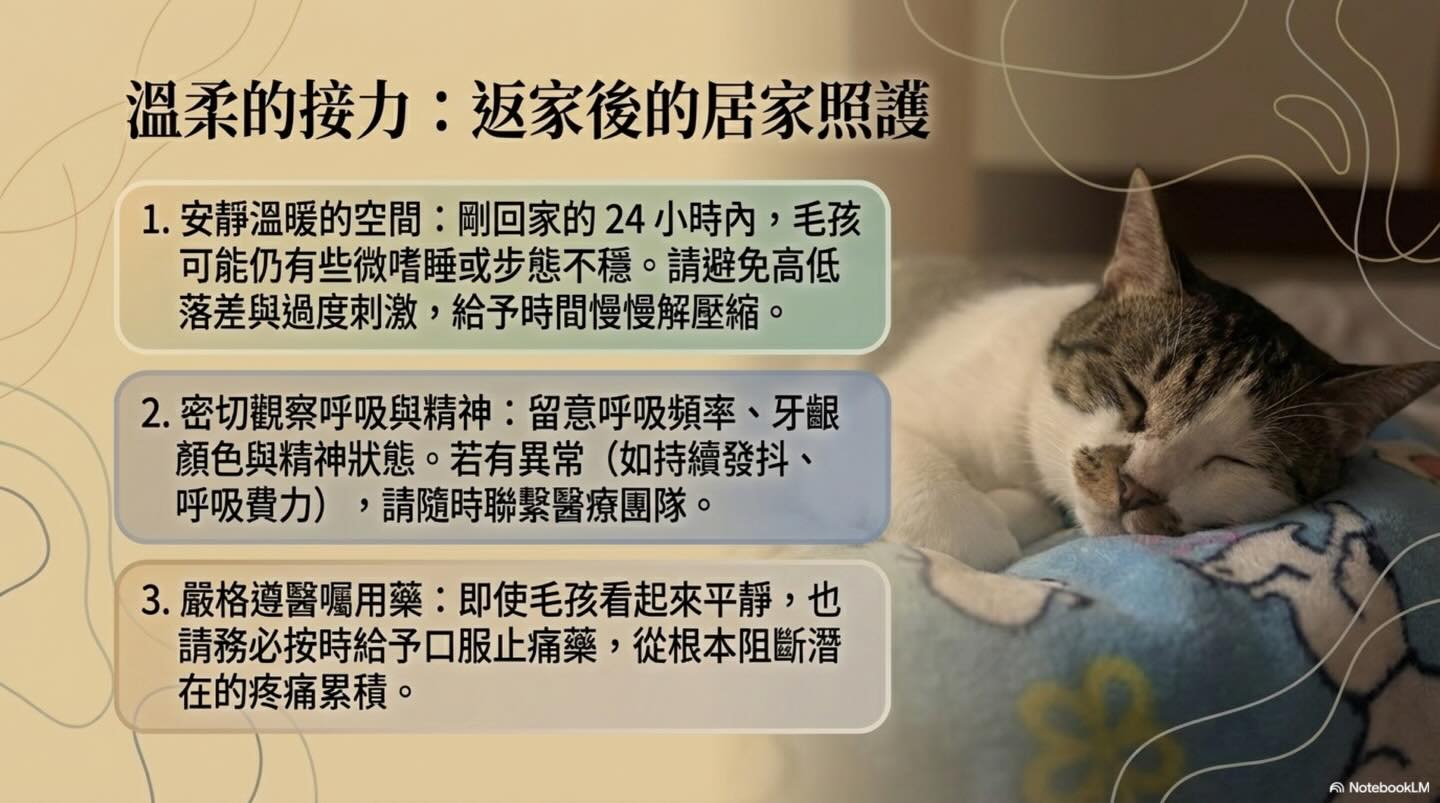 關於麻醉前評估的意義圖卡 14