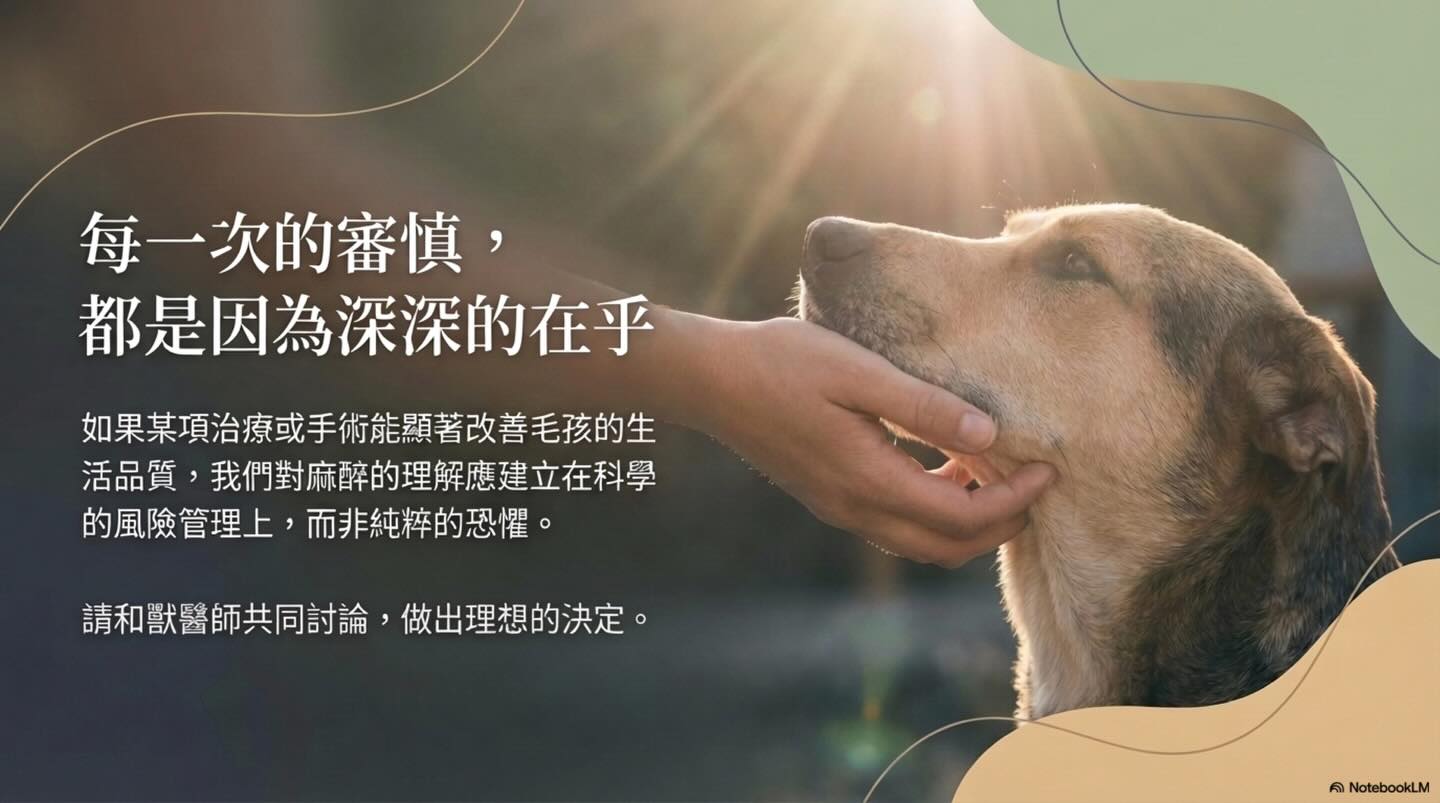 關於麻醉前評估的意義圖卡 16