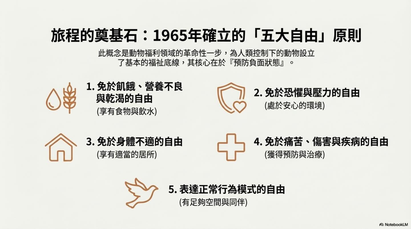 動物福利：一場持續演進的旅程圖卡 3
