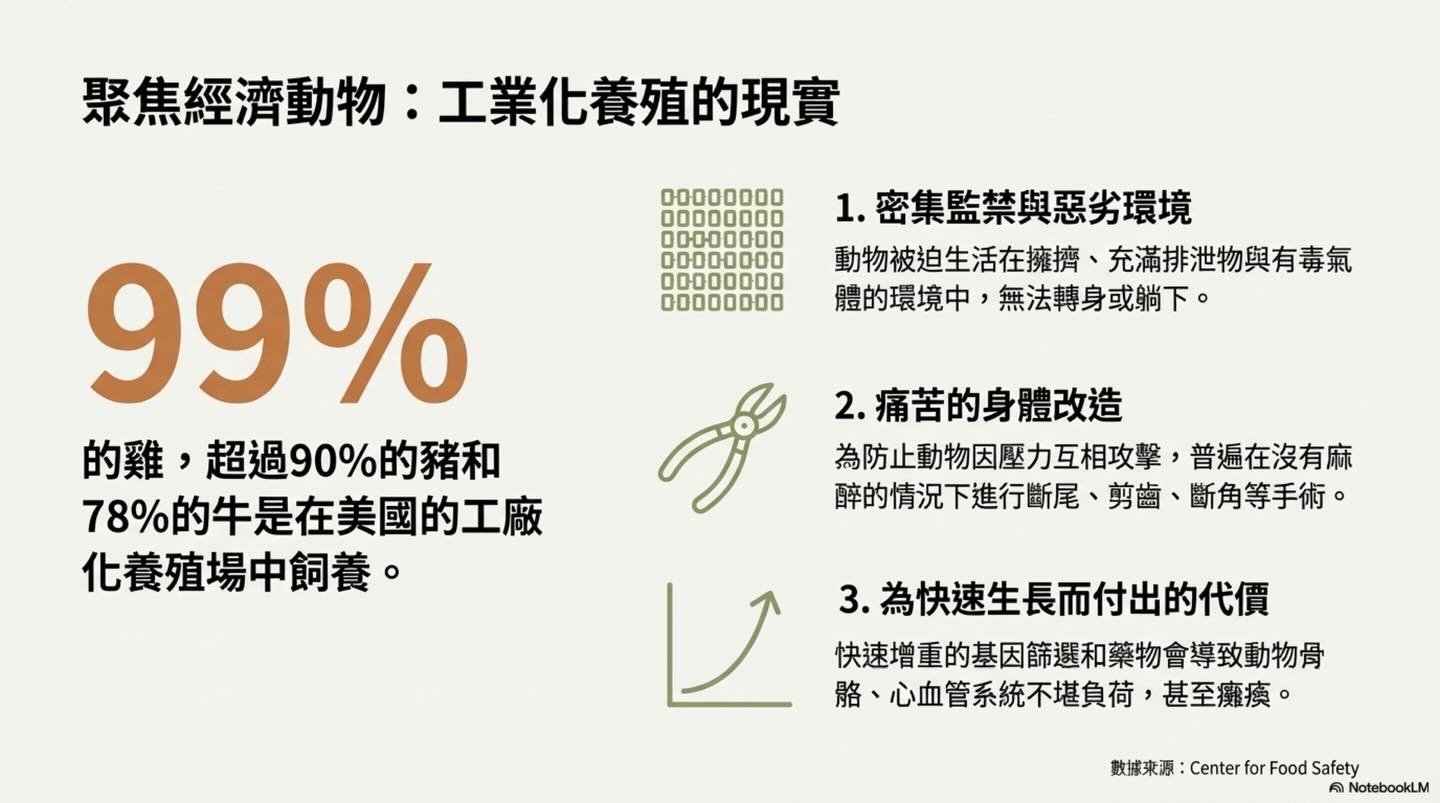 動物福利：一場持續演進的旅程圖卡 7