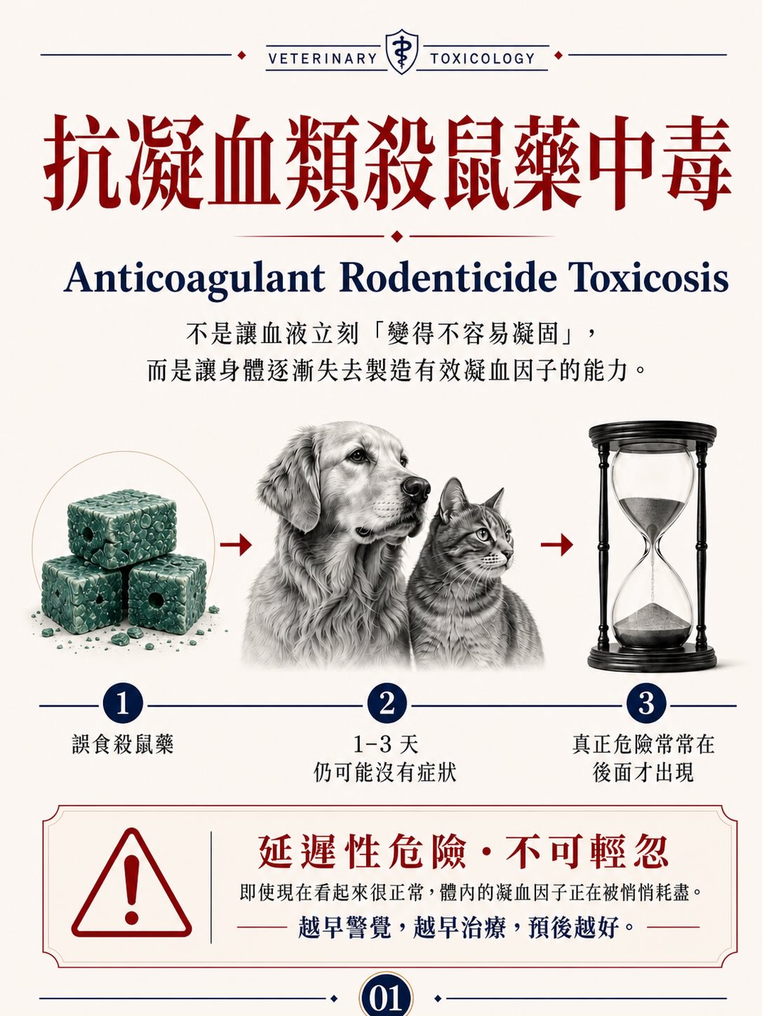 手機直式圖卡集合封面：抗凝血類殺鼠藥中毒
