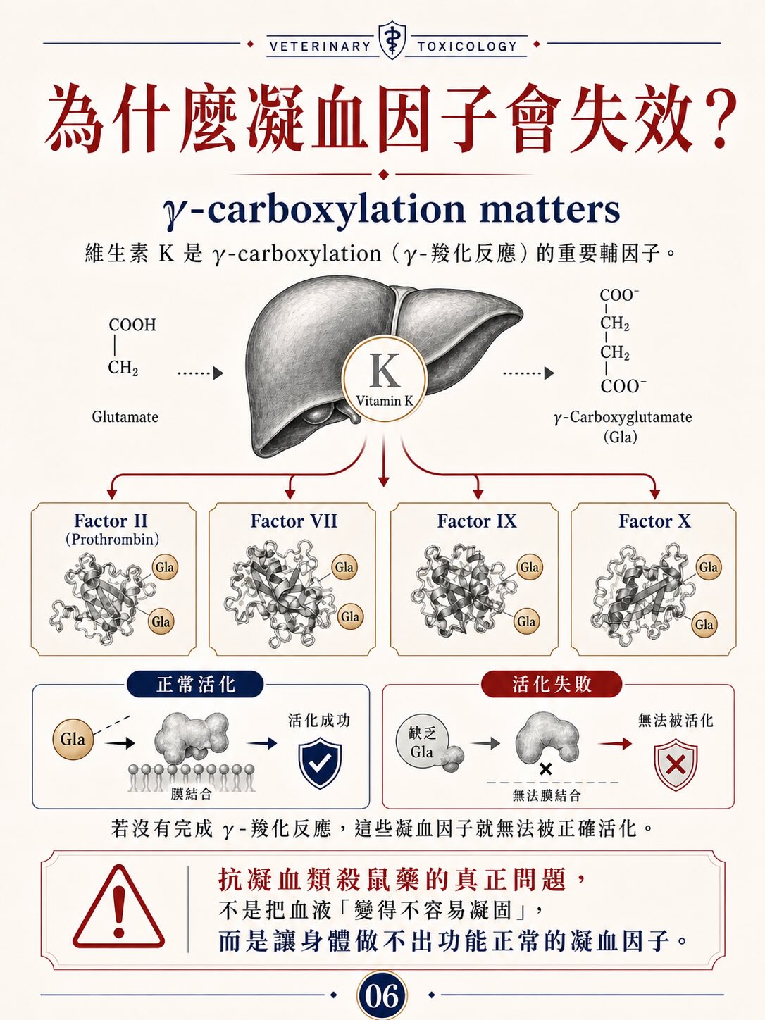 抗凝血類殺鼠藥中毒圖卡 6