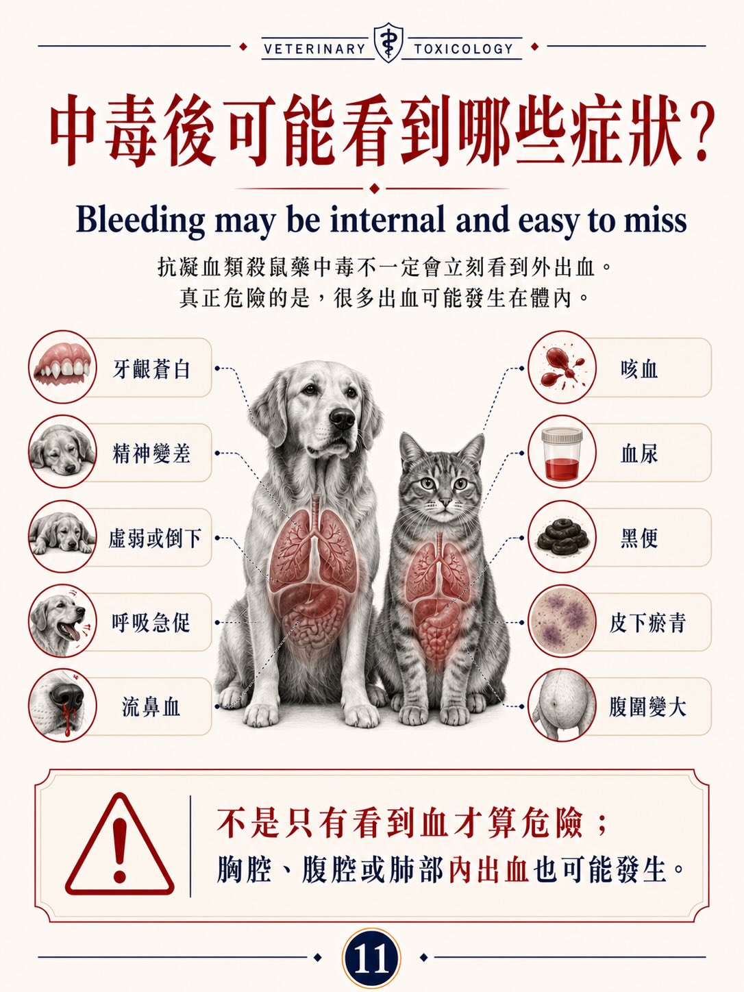 抗凝血類殺鼠藥中毒圖卡 11