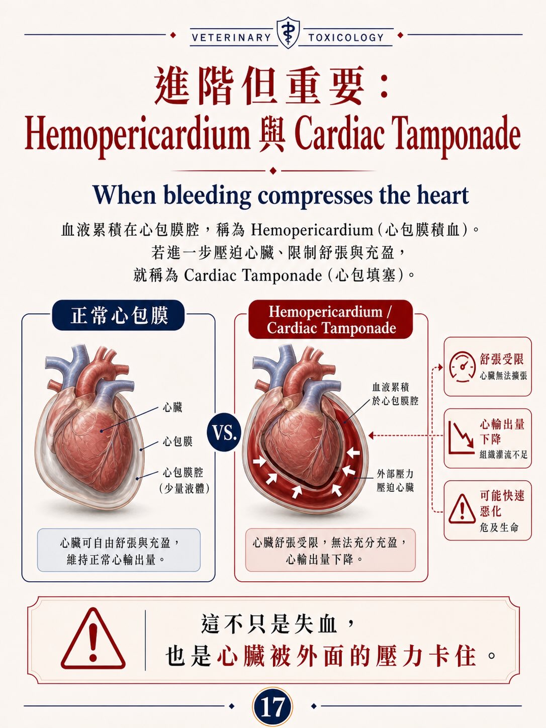 抗凝血類殺鼠藥中毒圖卡 17