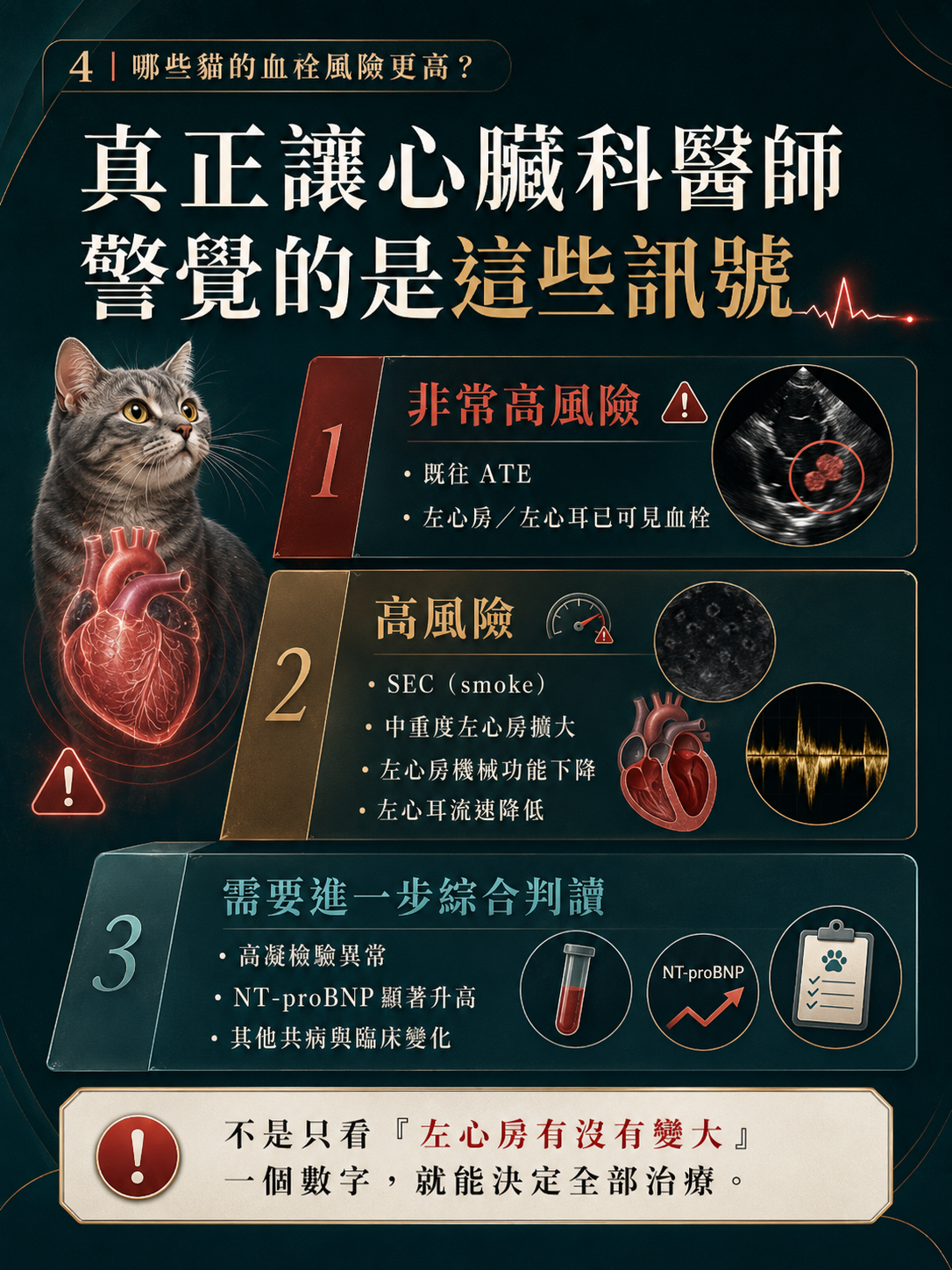 ATE 手機圖卡 4：真正讓心臟科醫師警覺的是這些訊號