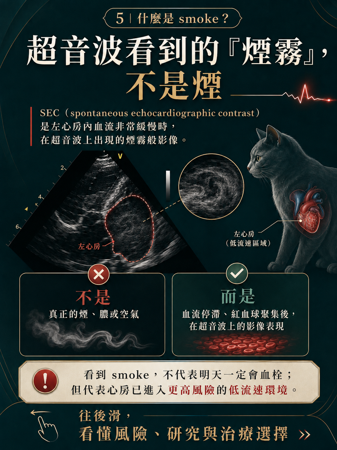 ATE 手機圖卡 5：超音波看到的『煙霧』，不是煙