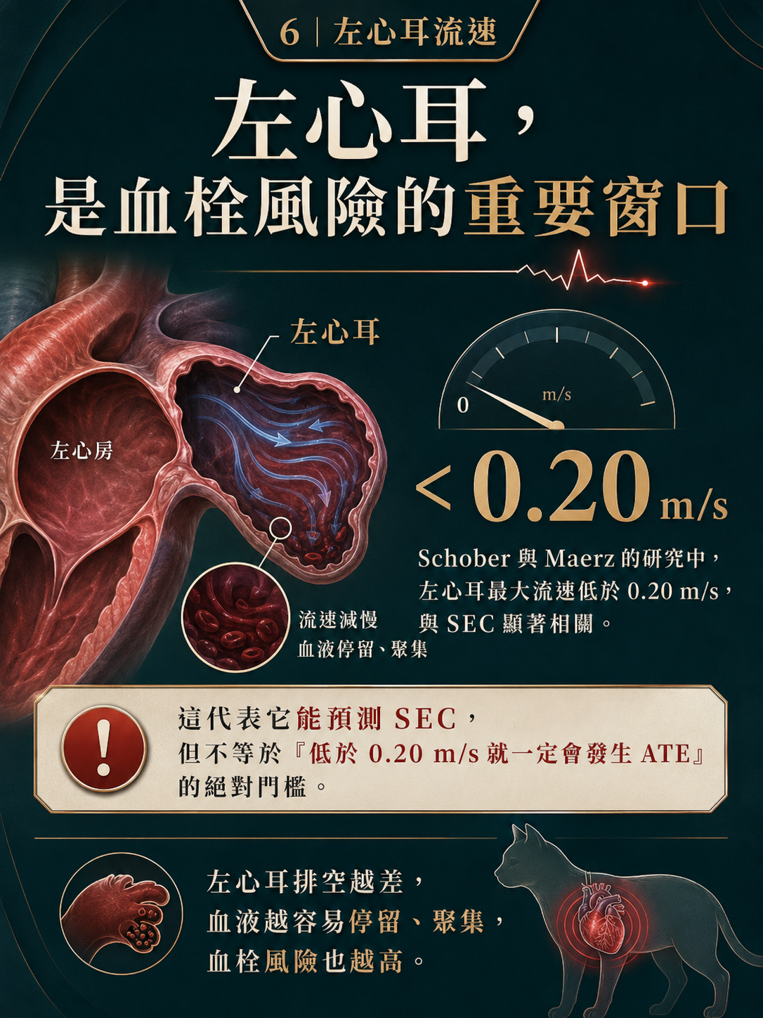 ATE 手機圖卡 6：左心耳，是血栓風險的重要窗口