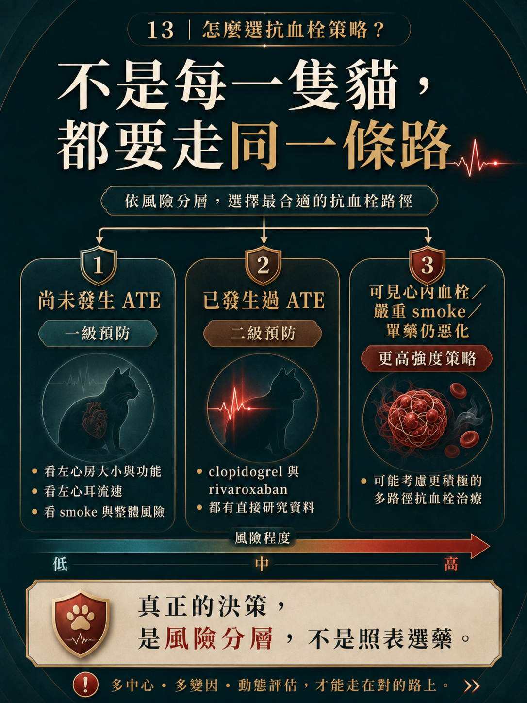 ATE 手機圖卡 13：不是每一隻貓，都要走同一條路
