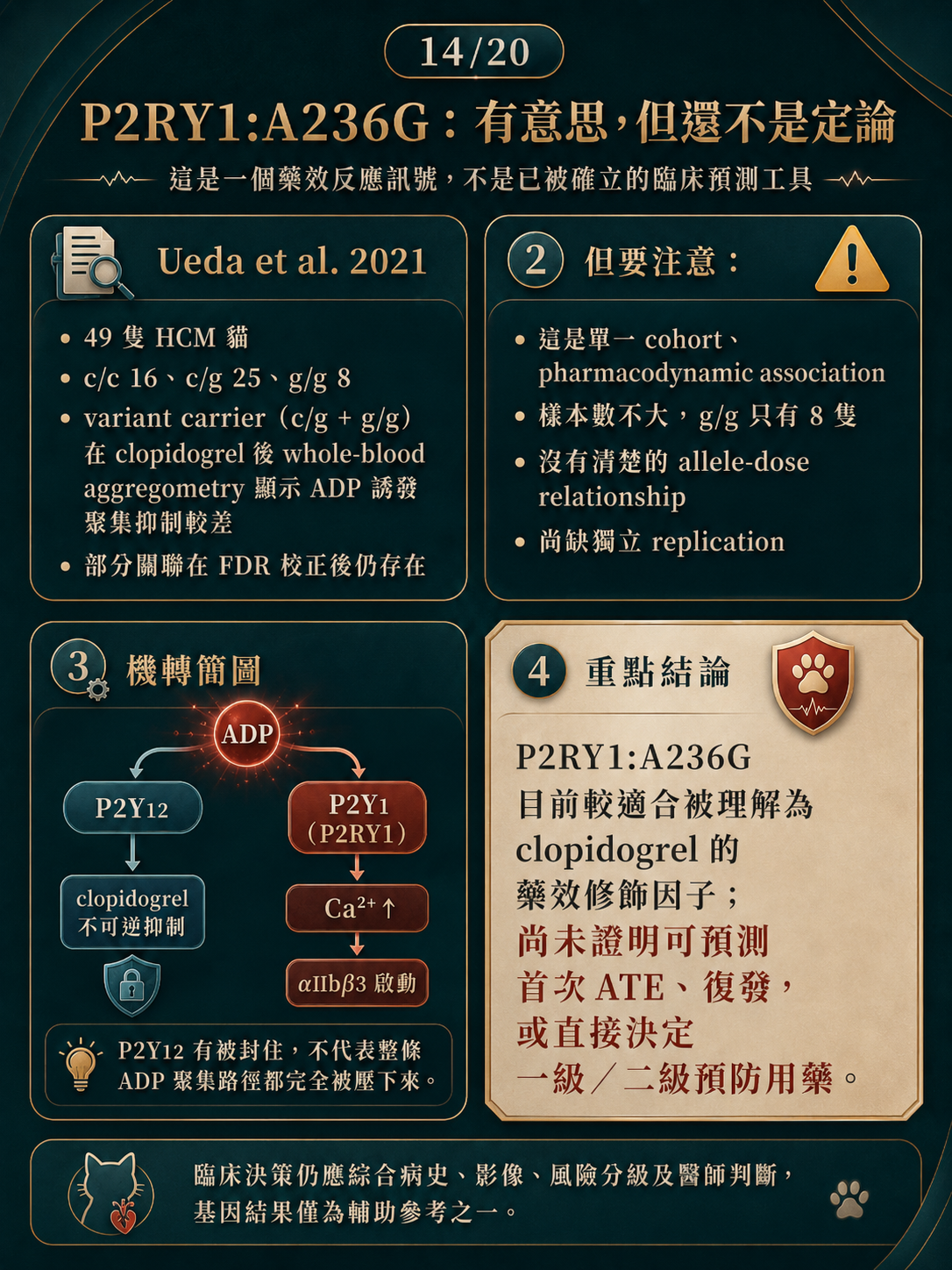 ATE 手機圖卡 14：clopidogrel 不是把所有 ADP 訊號都關掉