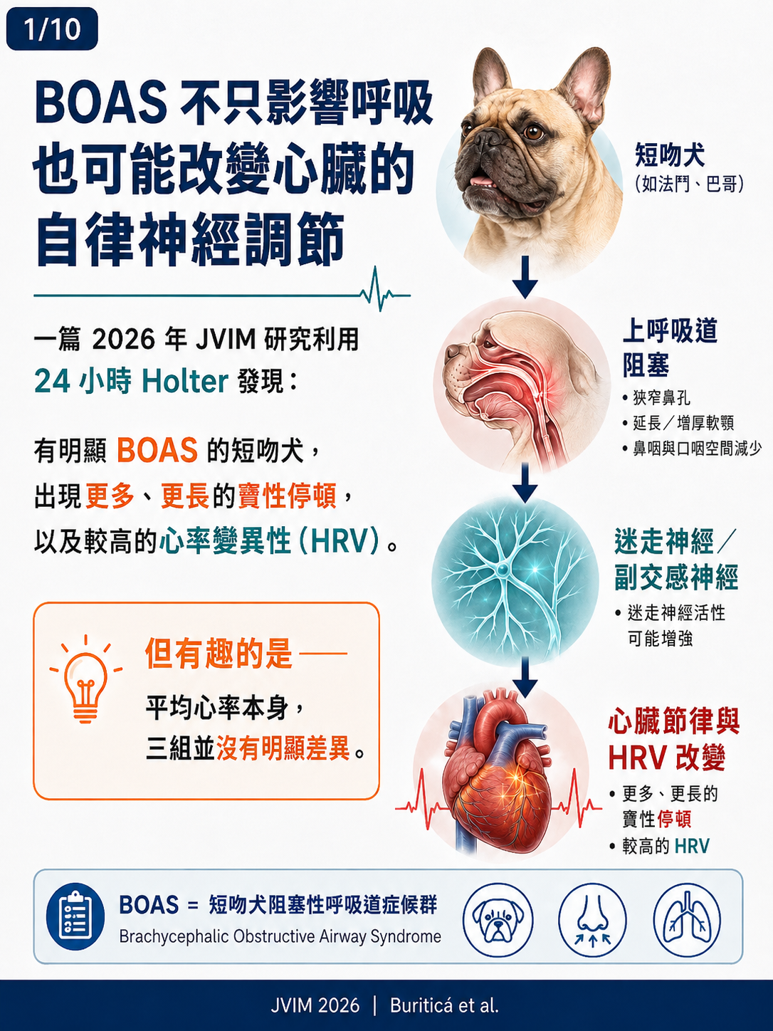 手機直式圖卡集合封面：BOAS_HRV｜JVIM 2026｜短吻犬阻塞性呼吸道症候群與 HRV