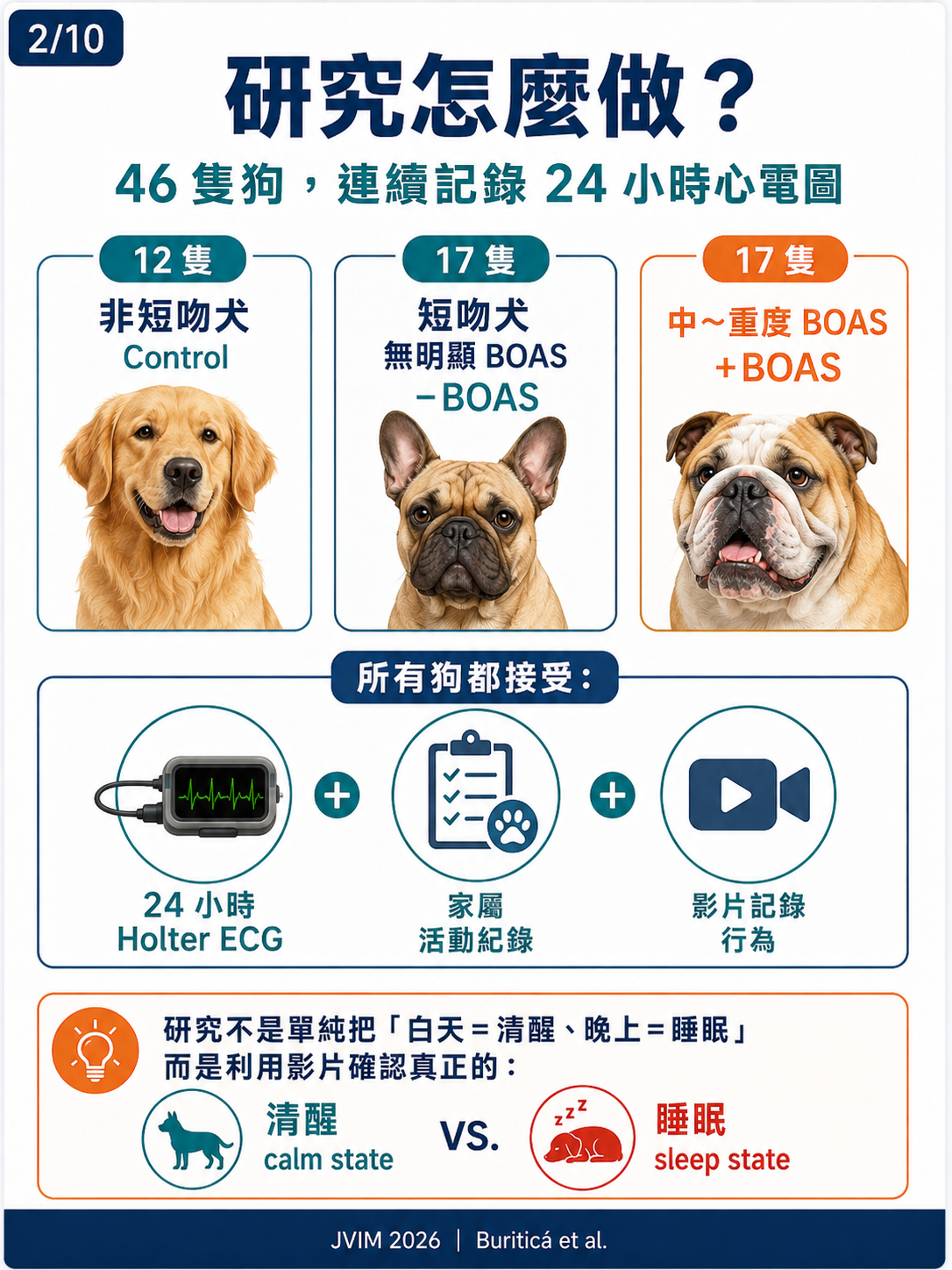 BOAS 與犬隻心率變異性 HRV 圖卡 2：研究怎麼做