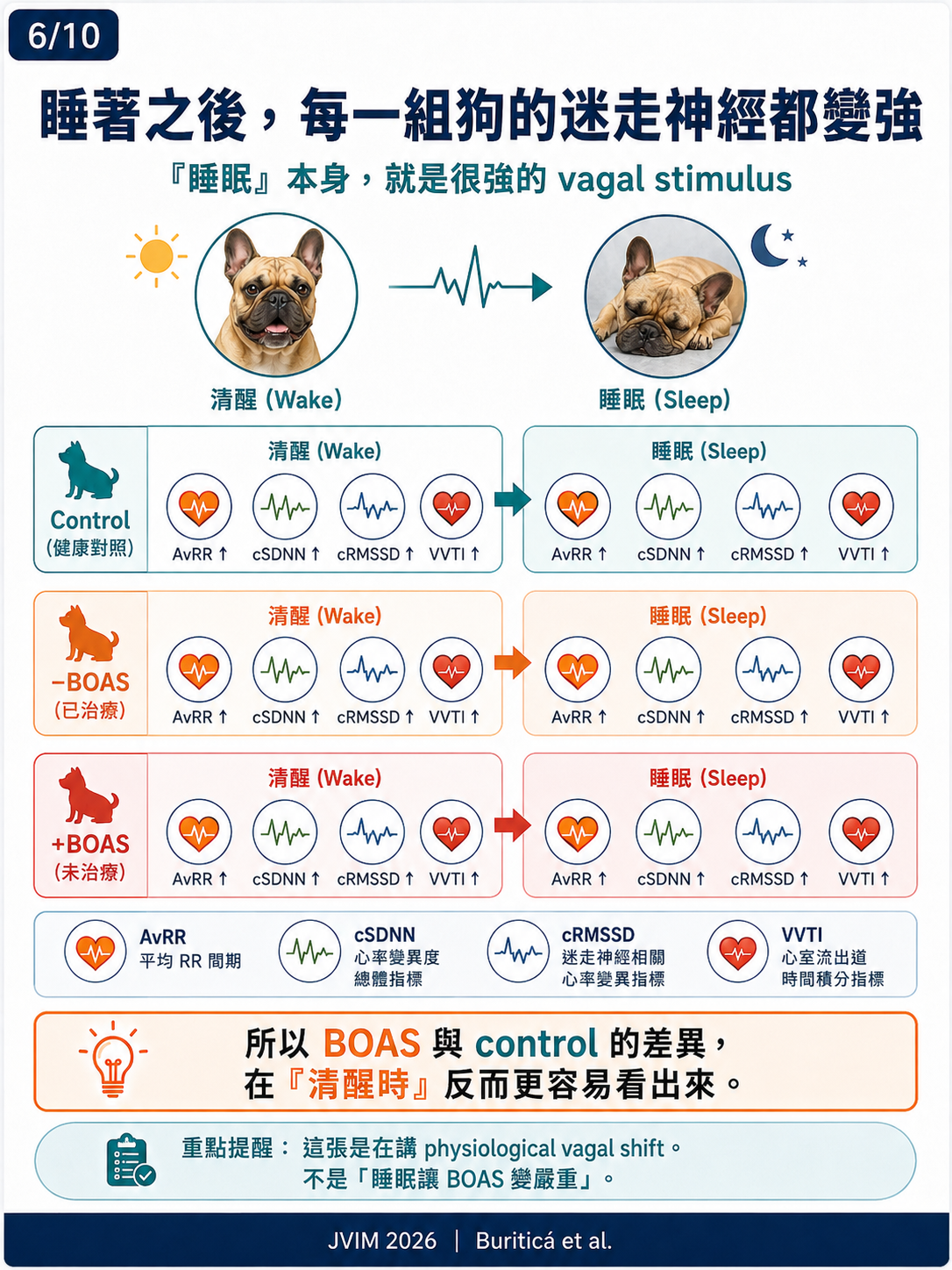 BOAS 與犬隻心率變異性 HRV 圖卡 6：睡著之後每一組狗的迷走神經都變強