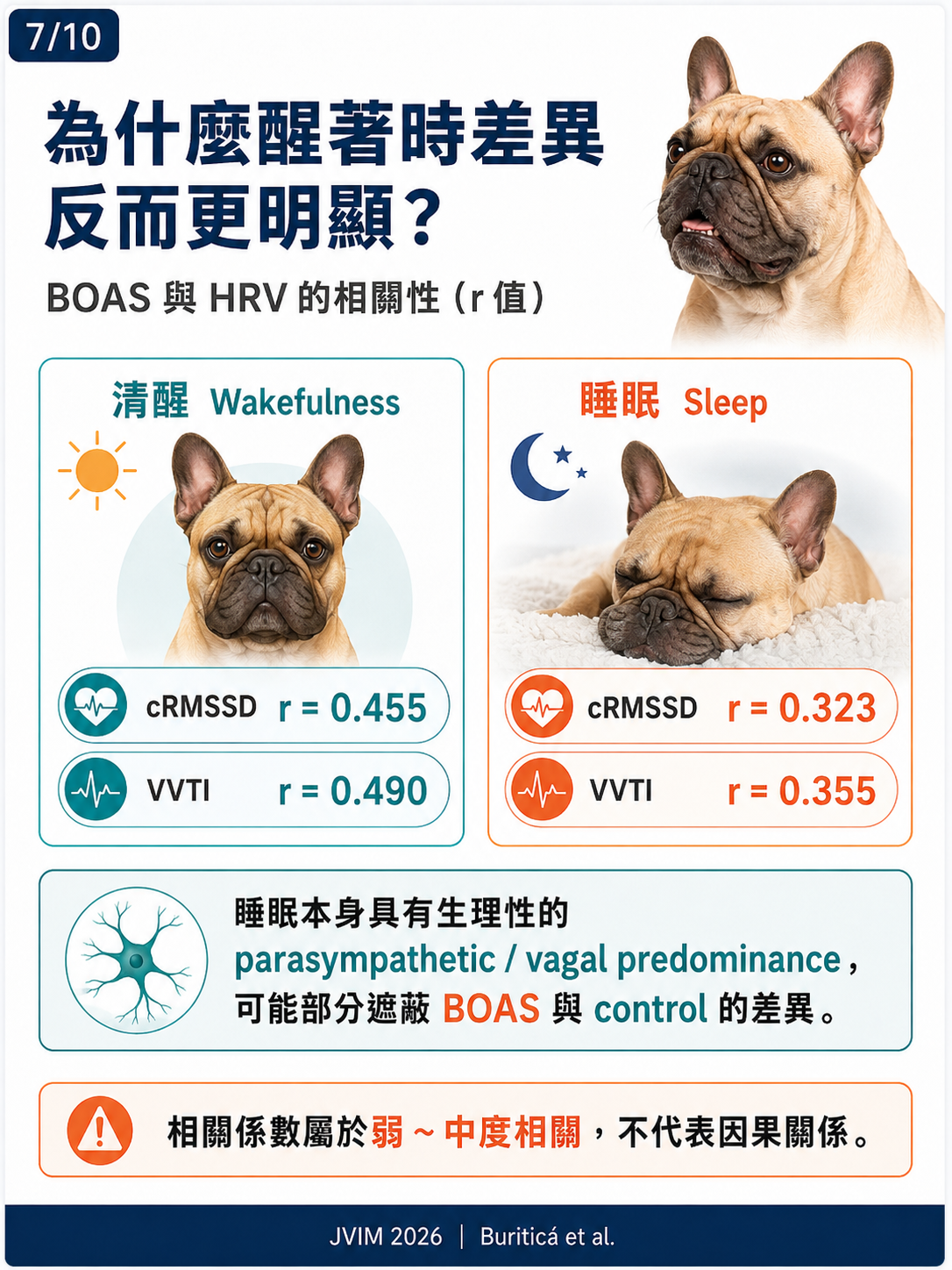 BOAS 與犬隻心率變異性 HRV 圖卡 7：為什麼醒著時差異反而更明顯
