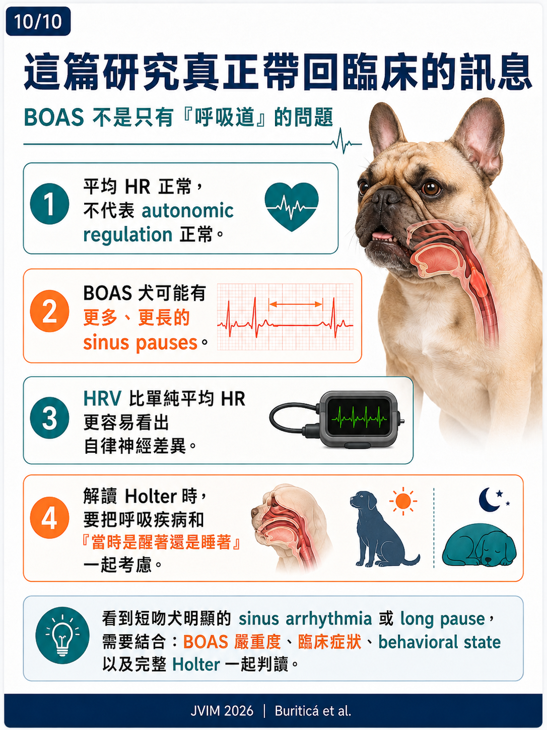 BOAS 與犬隻心率變異性 HRV 圖卡 10：這篇研究真正帶回臨床的訊息