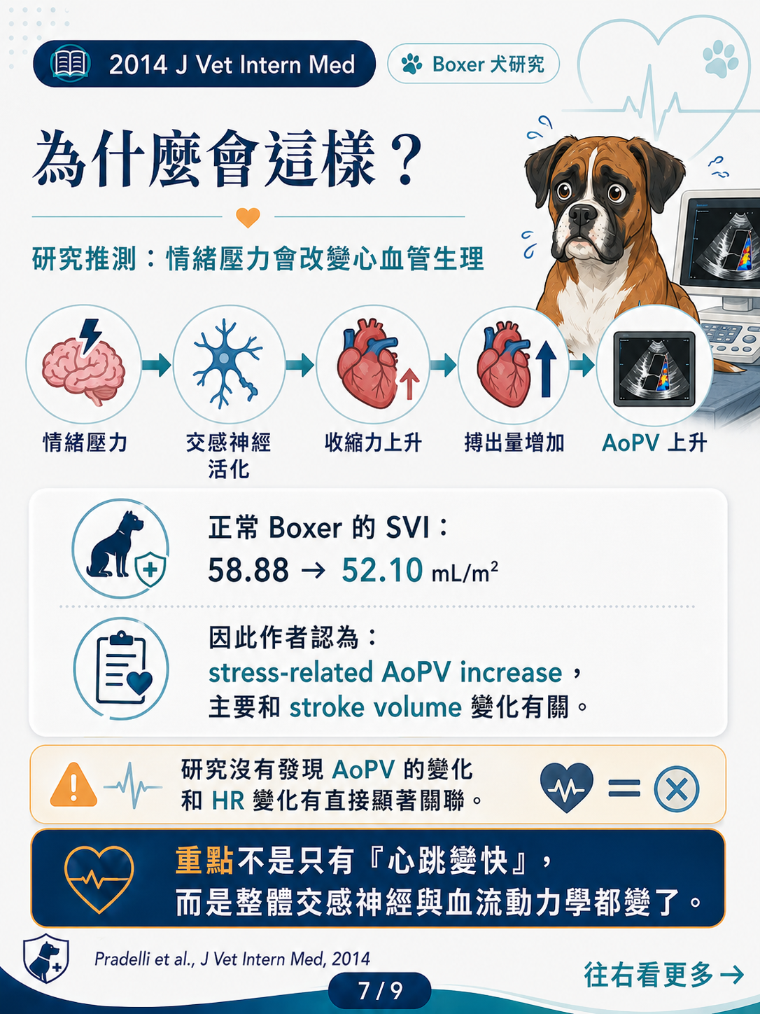 Boxer 犬情緒壓力與 AoPV 圖卡 7：情緒壓力改變心血管生理