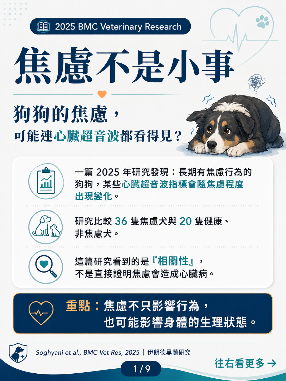 手機直式圖卡集合封面：犬焦慮與心臟功能｜BMC Veterinary Research 2025