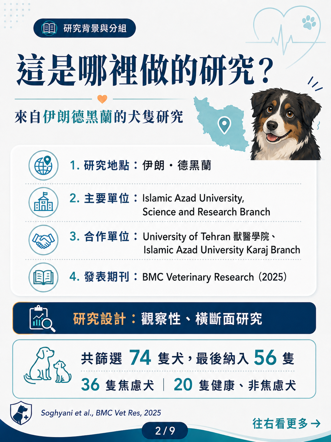 犬焦慮與心臟功能 圖卡 2：研究背景與分組