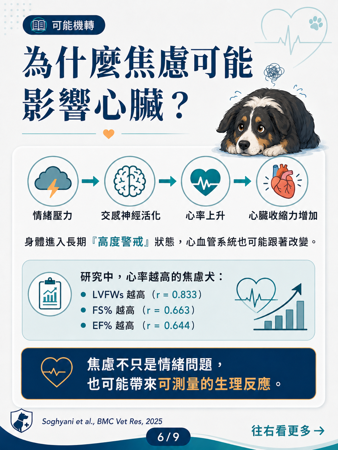 犬焦慮與心臟功能 圖卡 6：焦慮可能影響心臟的機轉