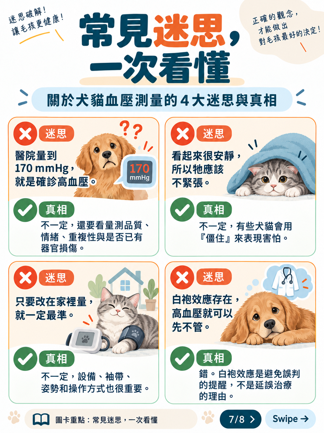 犬貓血壓測量與白袍效應圖卡 7：常見迷思一次看懂