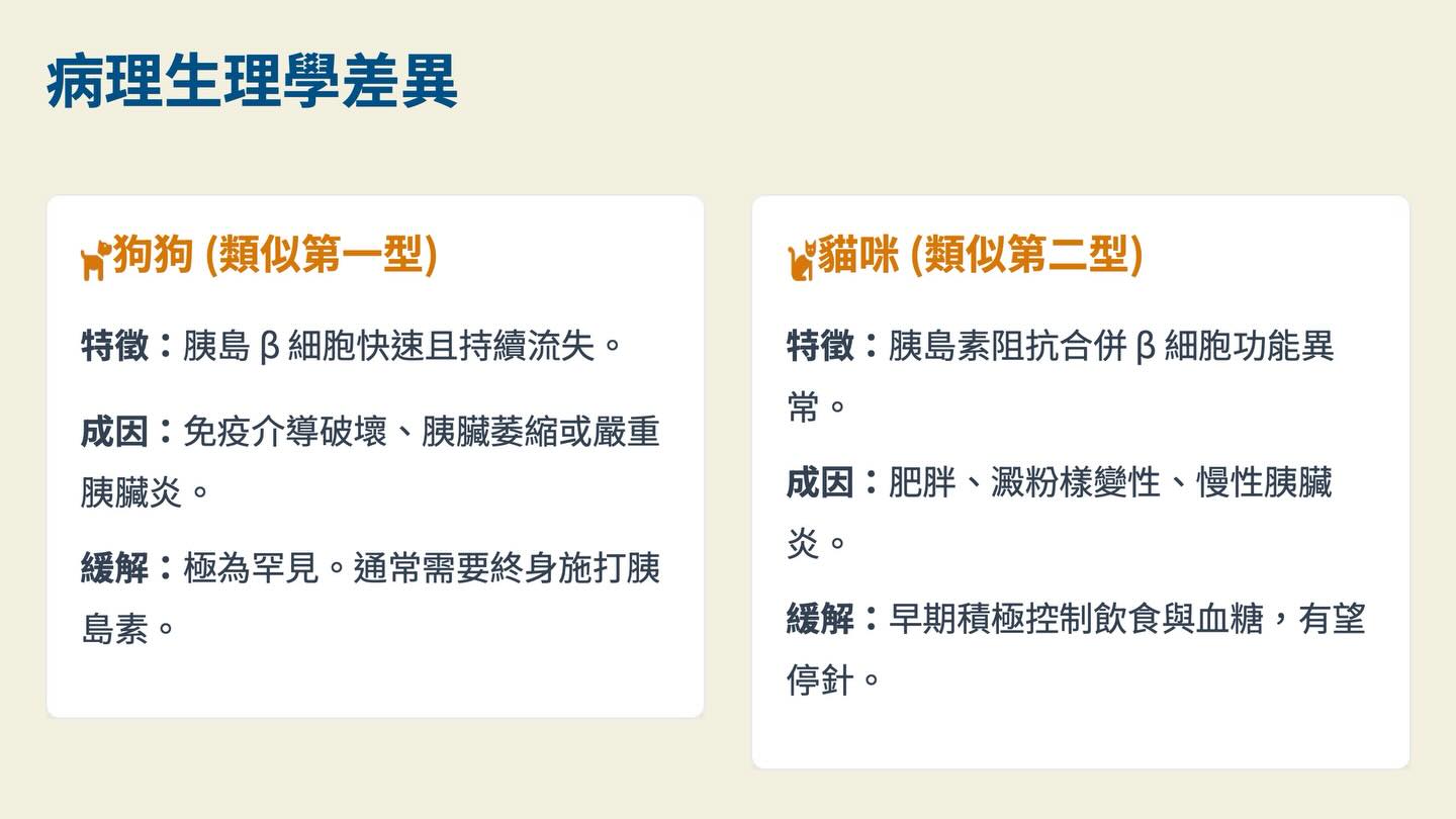 犬貓糖尿病管理：2018 AAHA 指引圖卡 2