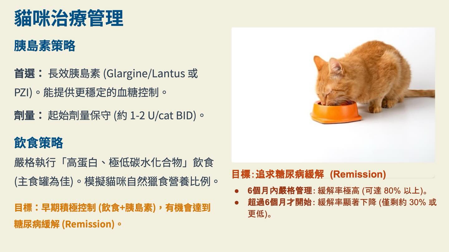 犬貓糖尿病管理：2018 AAHA 指引圖卡 7