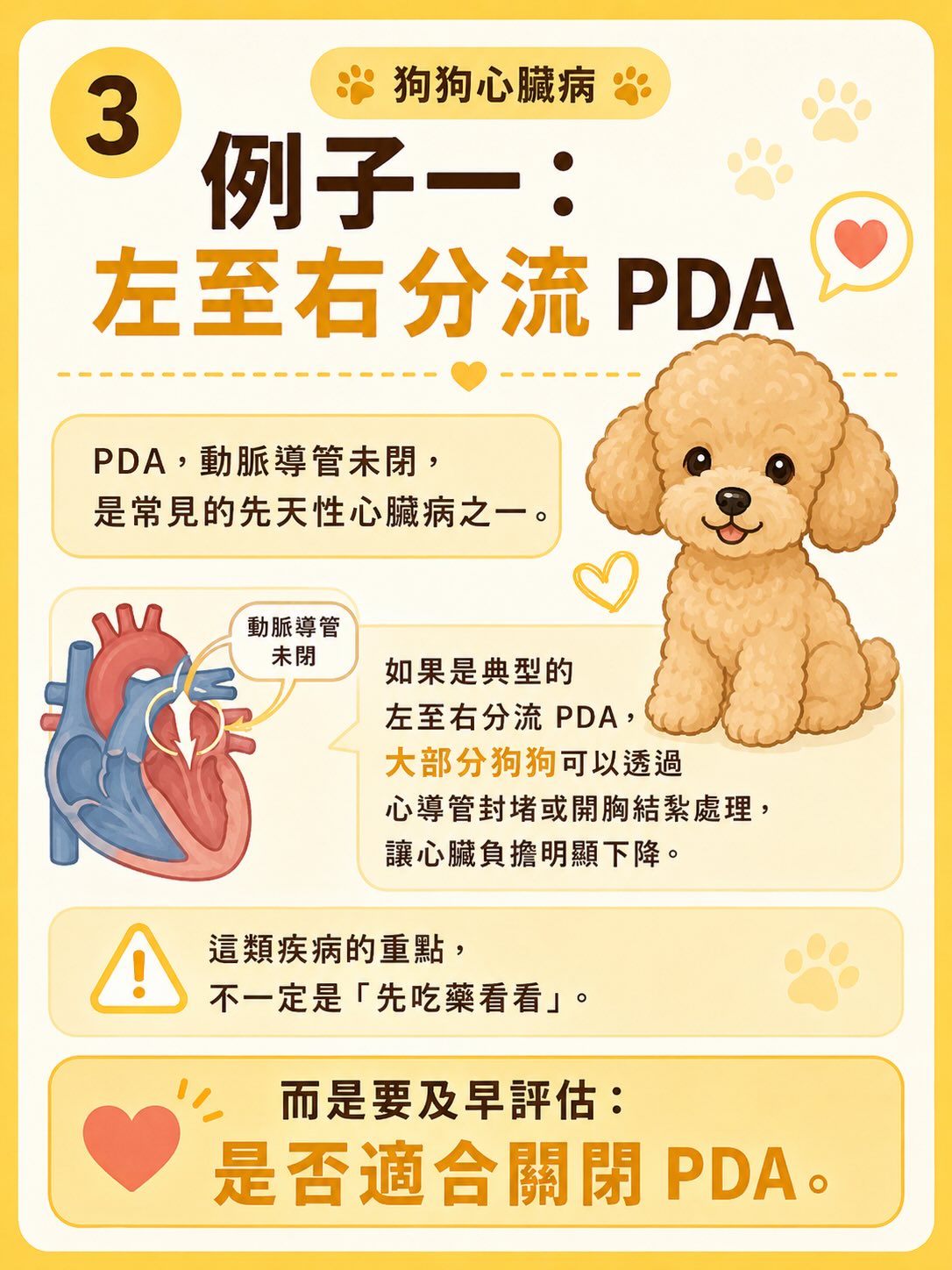 犬心臟病疾病異質性圖卡 3：例子一：左至右分流 PDA