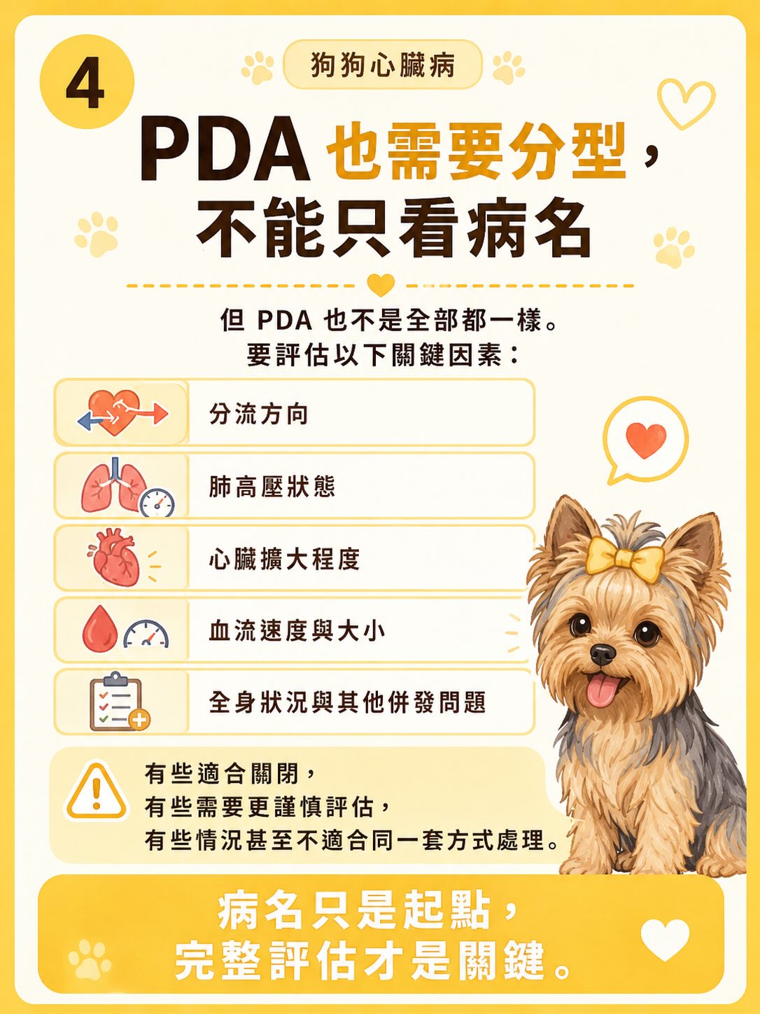 犬心臟病疾病異質性圖卡 4：PDA 也要分型，不能只看病名