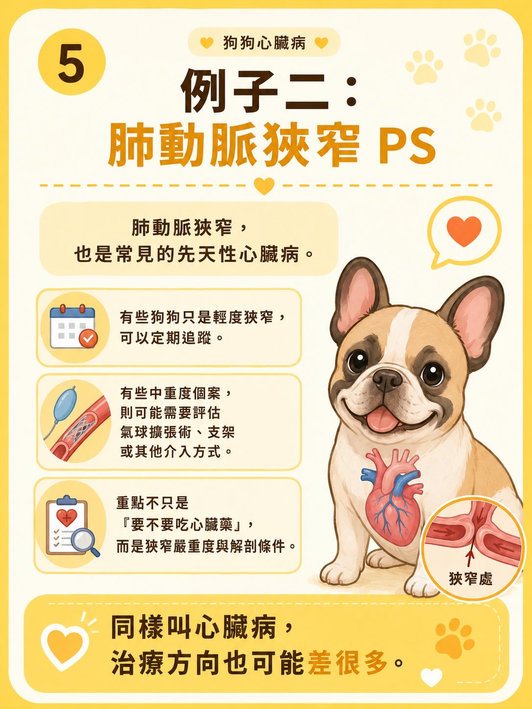犬心臟病疾病異質性圖卡 5：例子二：肺動脈瓣狹窄 PS