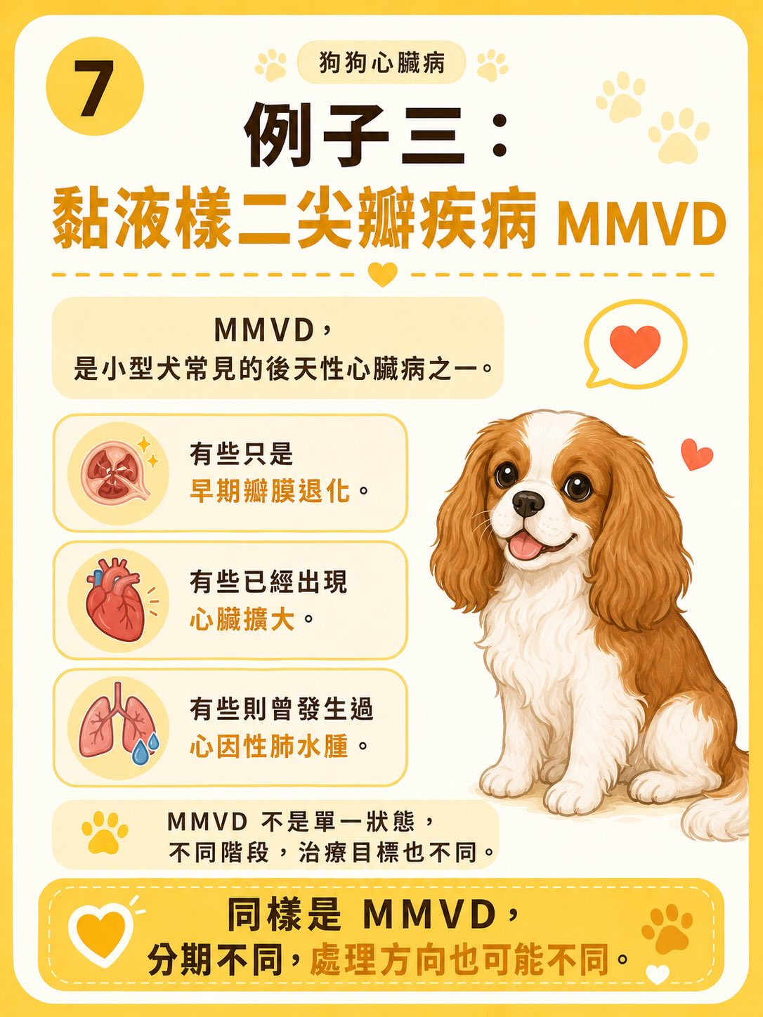 犬心臟病疾病異質性圖卡 7：例子三：黏液樣二尖瓣疾病 MMVD
