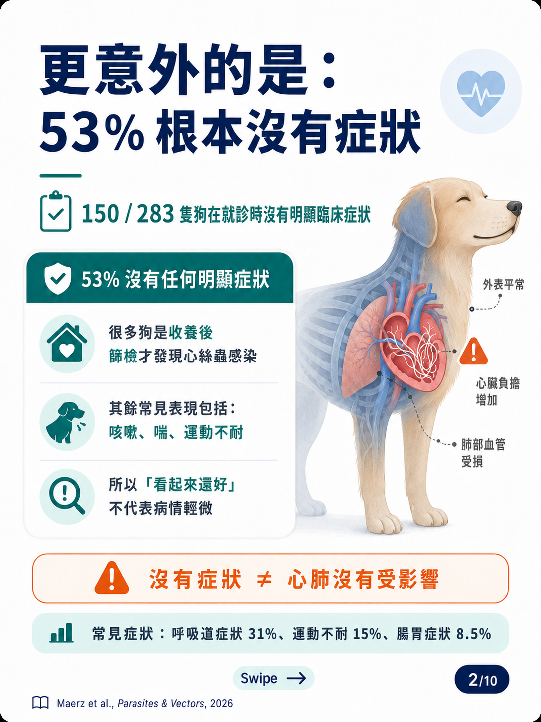 犬心絲蟲成蟲治療圖卡 2：53% 沒有明顯症狀