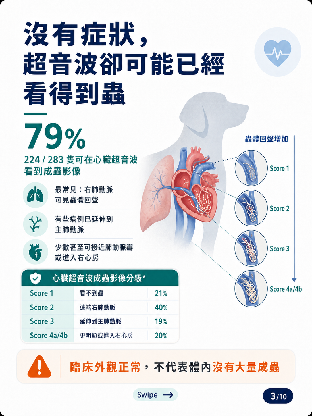 犬心絲蟲成蟲治療圖卡 3：79% 超音波可見成蟲
