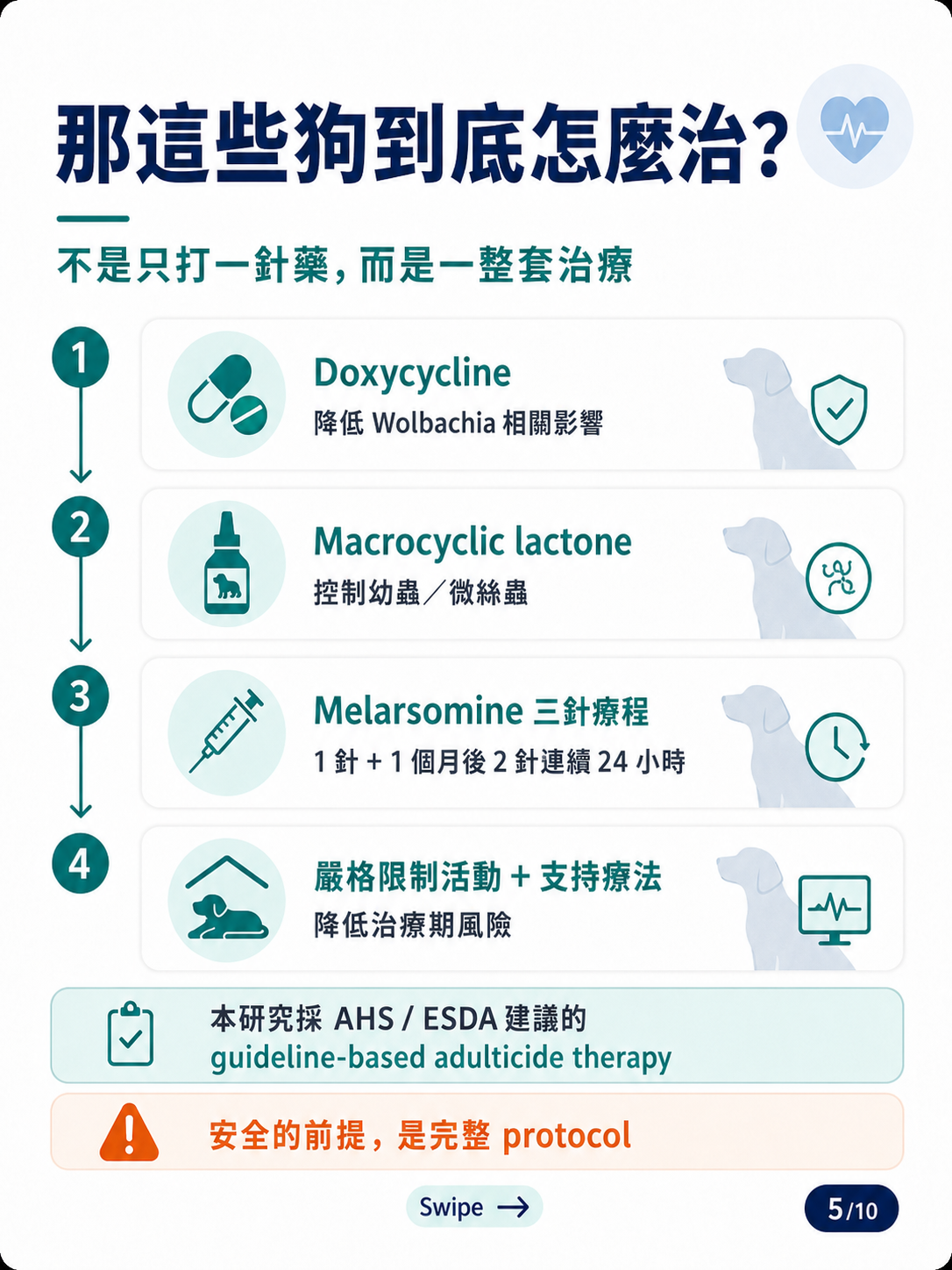 犬心絲蟲成蟲治療圖卡 5：心絲蟲完整治療流程