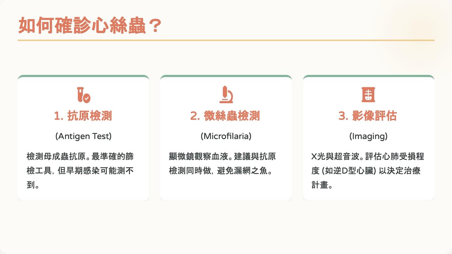 狗狗心絲蟲照護全攻略：2025 美國心絲蟲協會指引重點圖卡 3