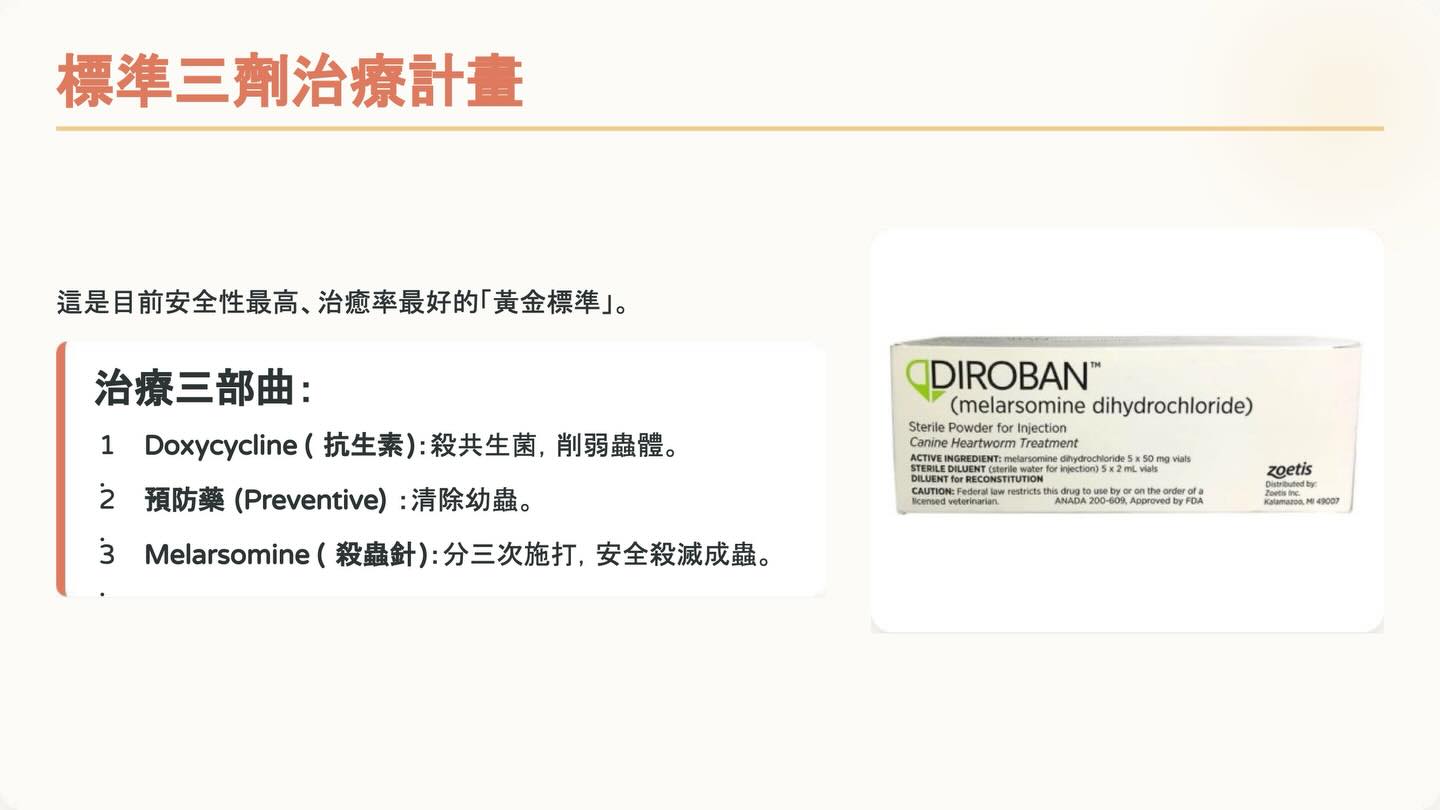 狗狗心絲蟲照護全攻略：2025 美國心絲蟲協會指引重點圖卡 5