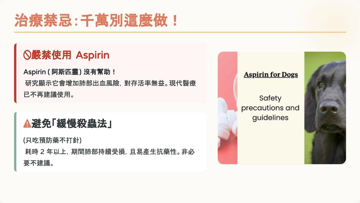 狗狗心絲蟲照護全攻略：2025 美國心絲蟲協會指引重點圖卡 9