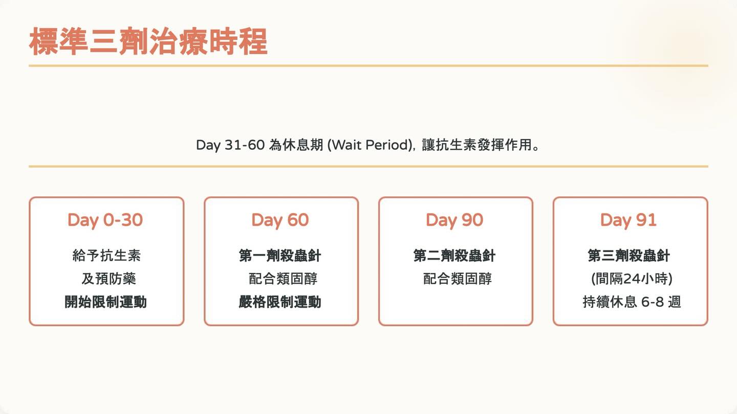 狗狗心絲蟲照護全攻略：2025 美國心絲蟲協會指引重點圖卡 10