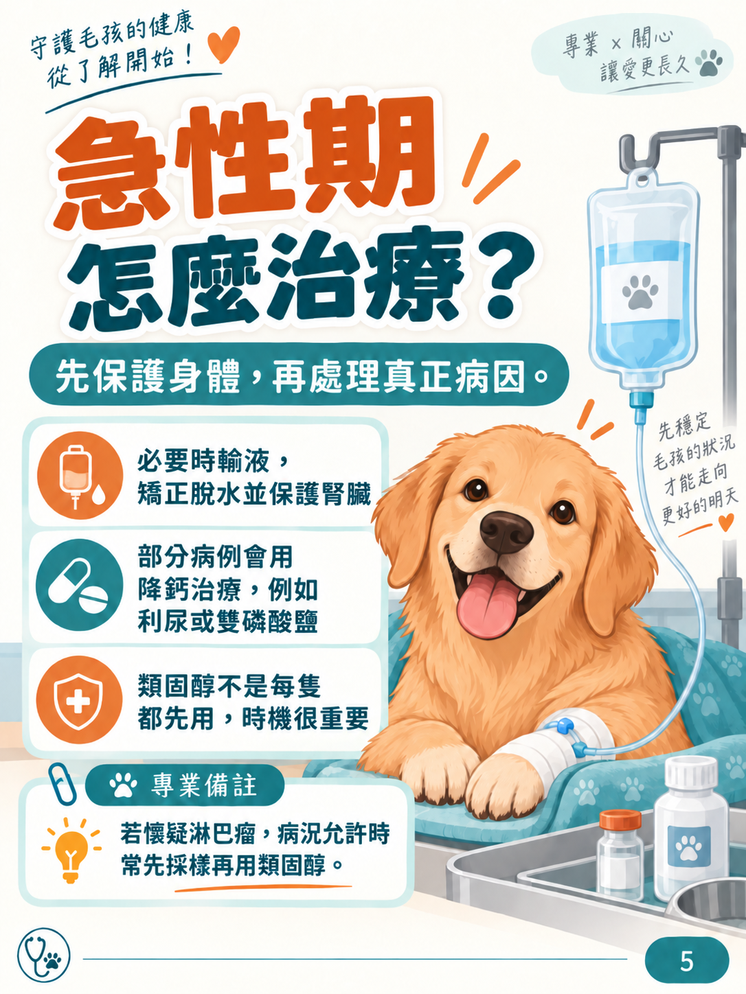 犬高血鈣圖卡 5：急性期怎麼治療？