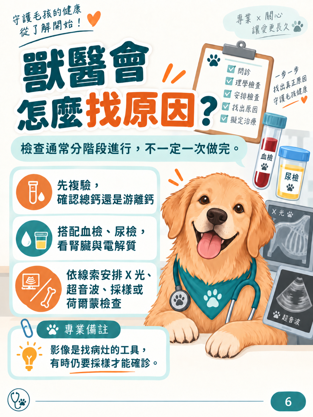 犬高血鈣圖卡 6：獸醫會怎麼找原因？