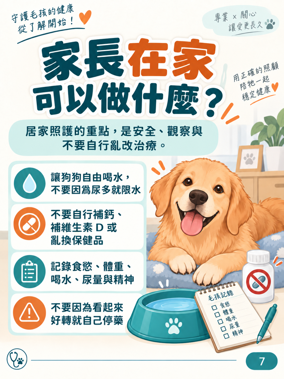 犬高血鈣圖卡 7：家長在家可以做什麼？